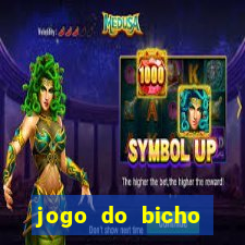 jogo do bicho documentario globoplay